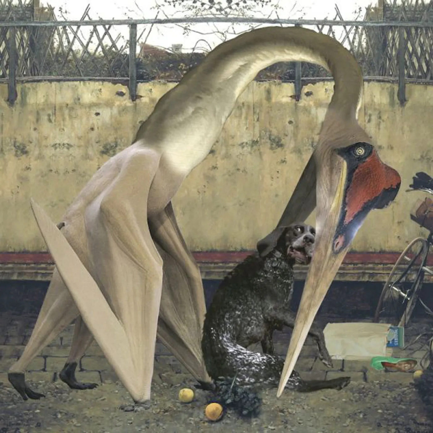 Rhadoo SEMANTICS Vinyl Record