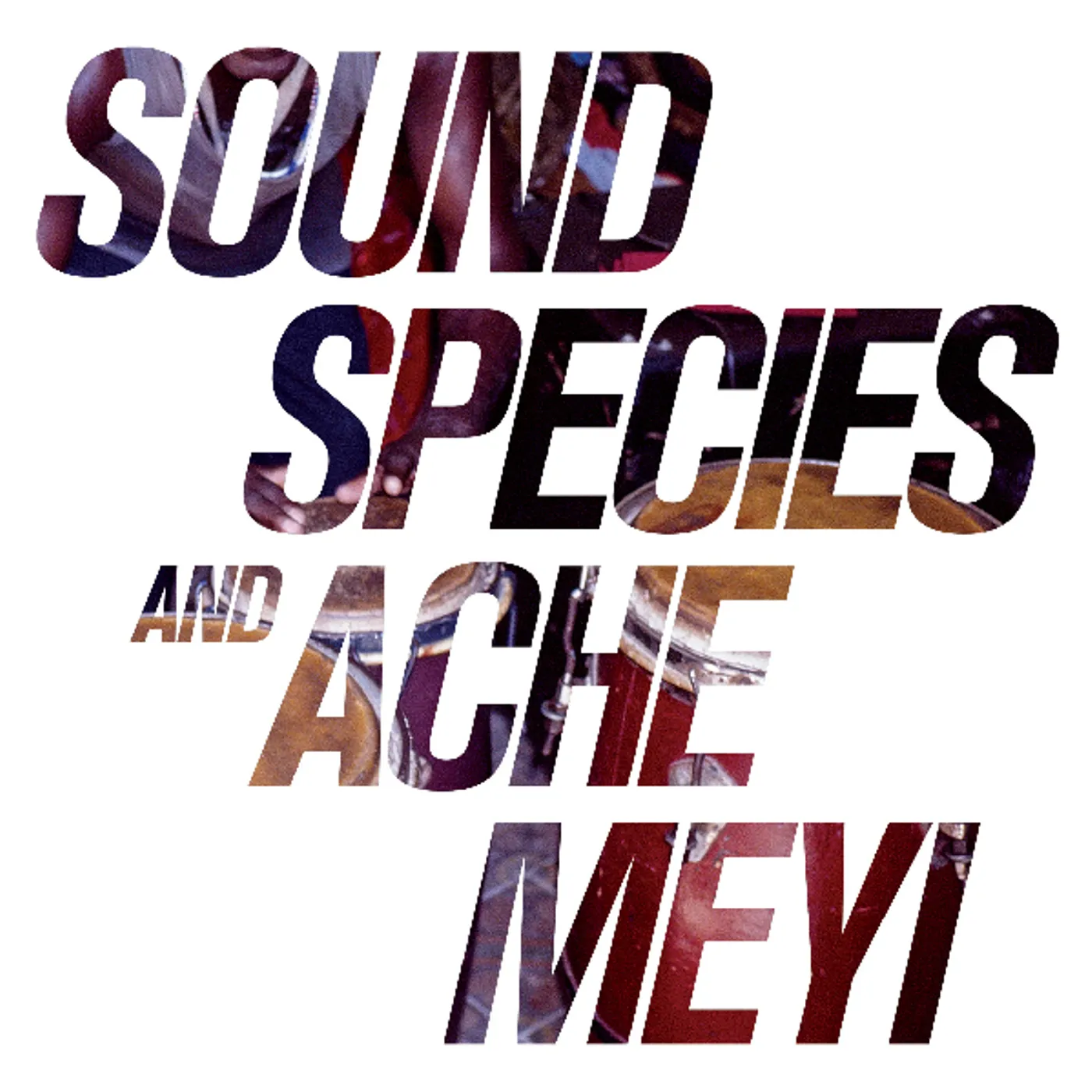 SOUNDSPECIES & ACHE MEYI CD