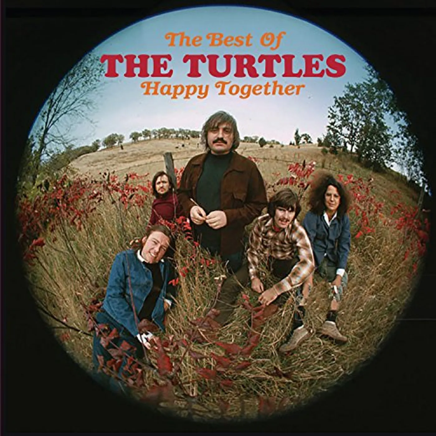 HAPPY TOGETHER: BEST OF THE TURTLES CD