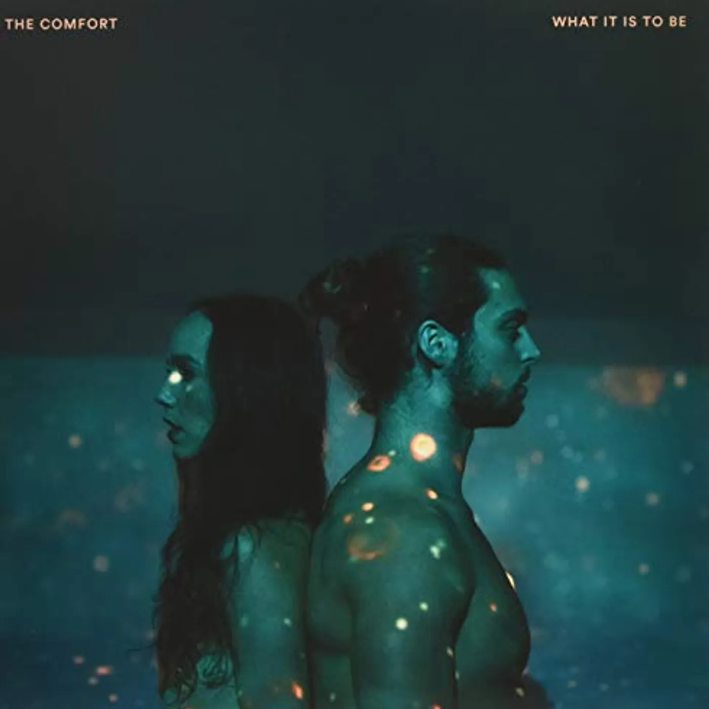 The Comfort What It is to Be Vinyl Record