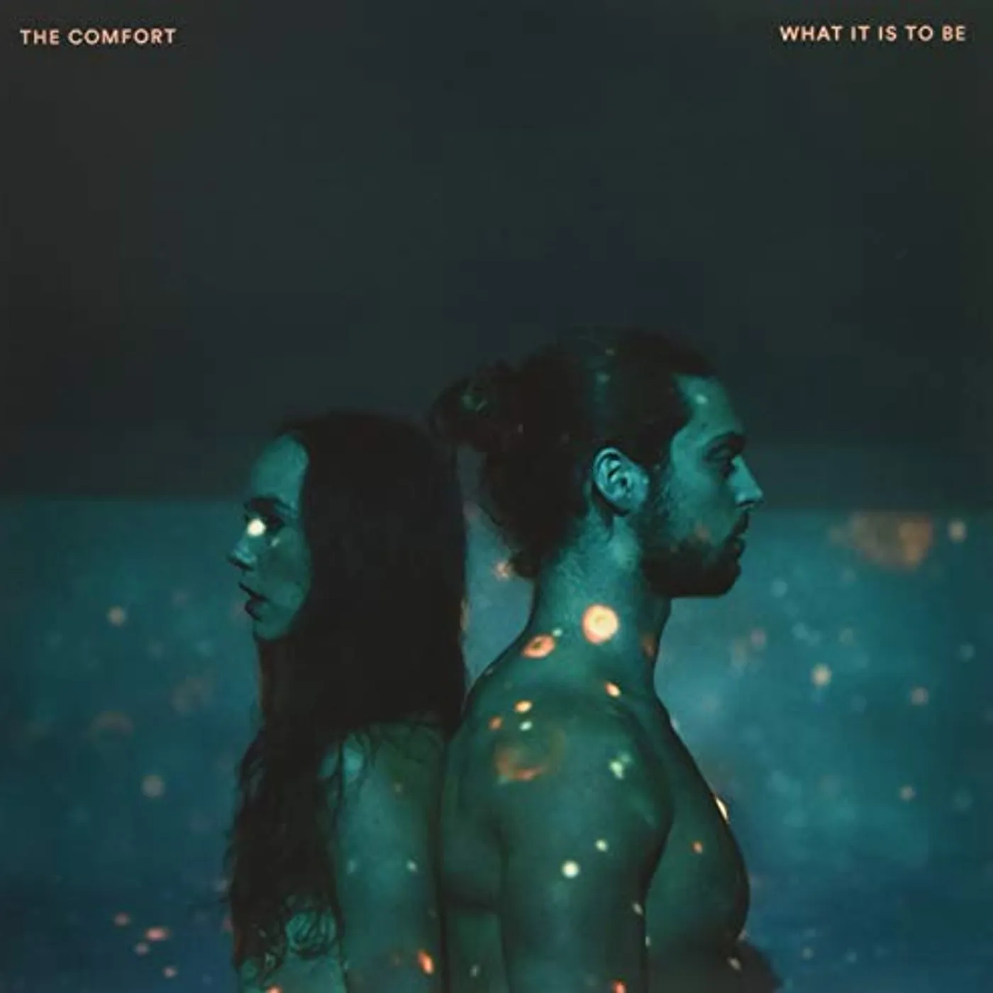 The Comfort What It is to Be Vinyl Record