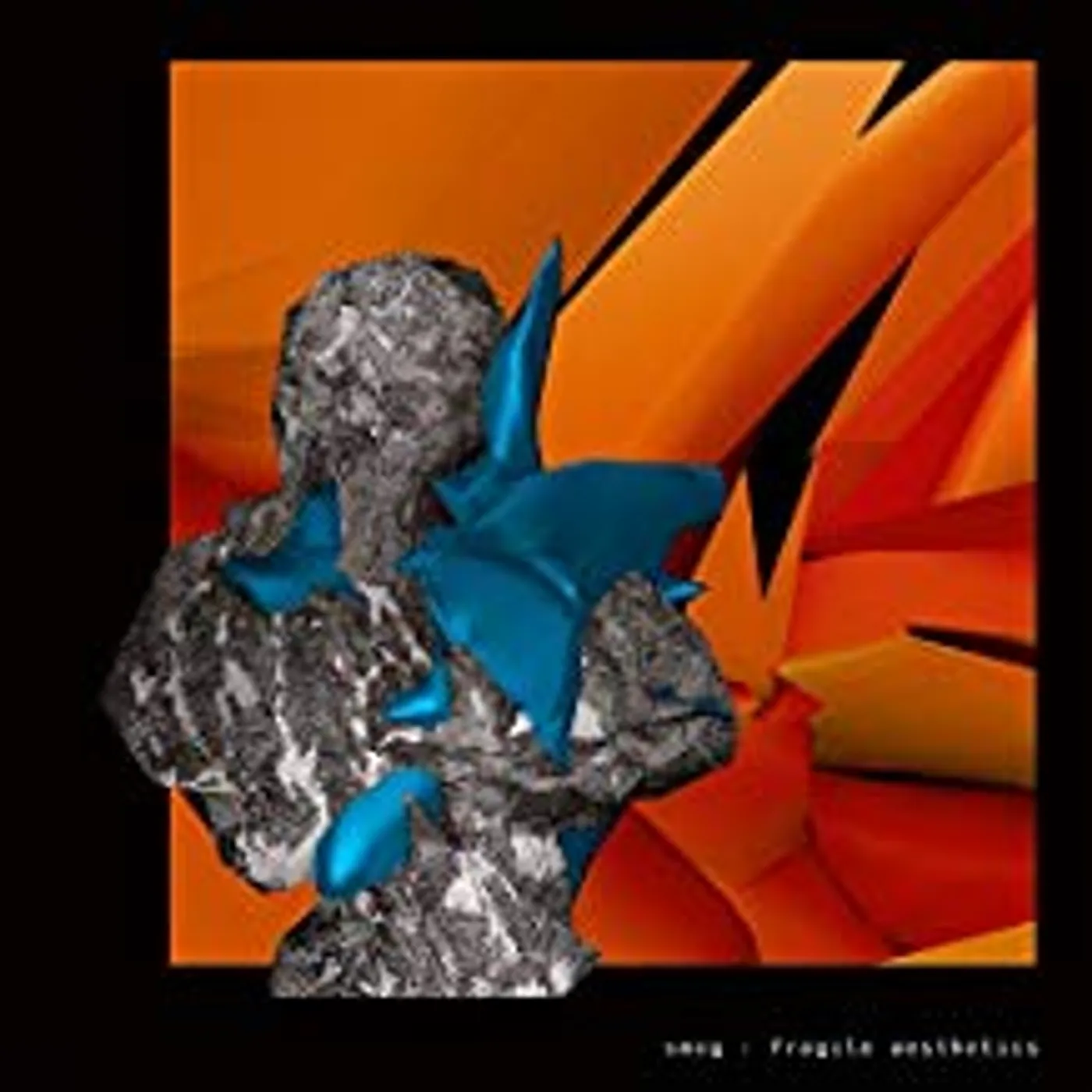 Smog Fragile Aesthetics Vinyl Record