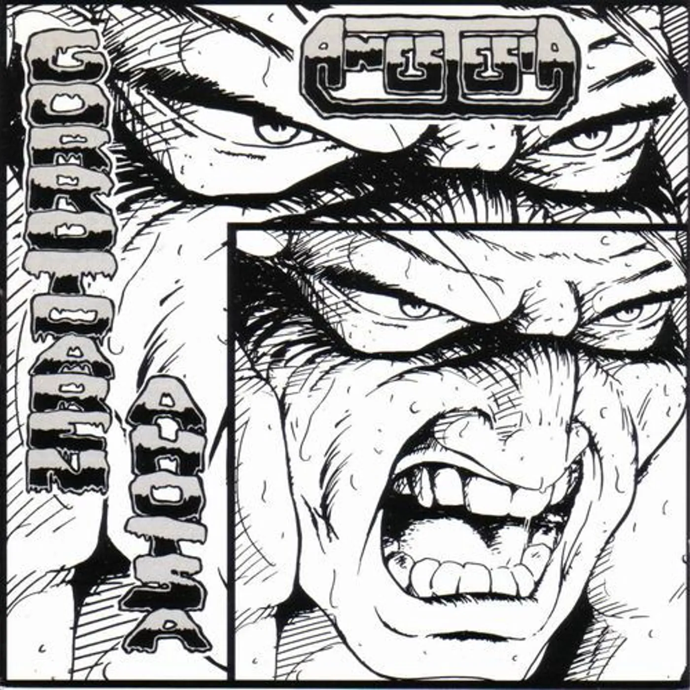 Anestesia Gorrotoaren Ahotsa Vinyl Record