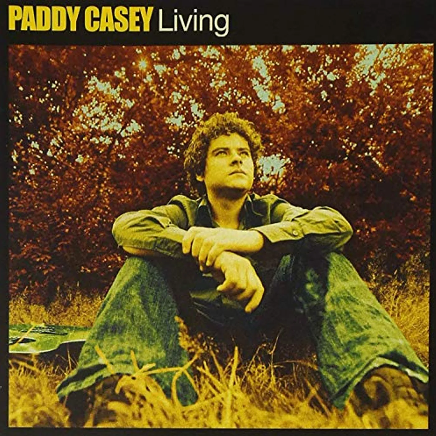Paddy Casey Living Vinyl Record