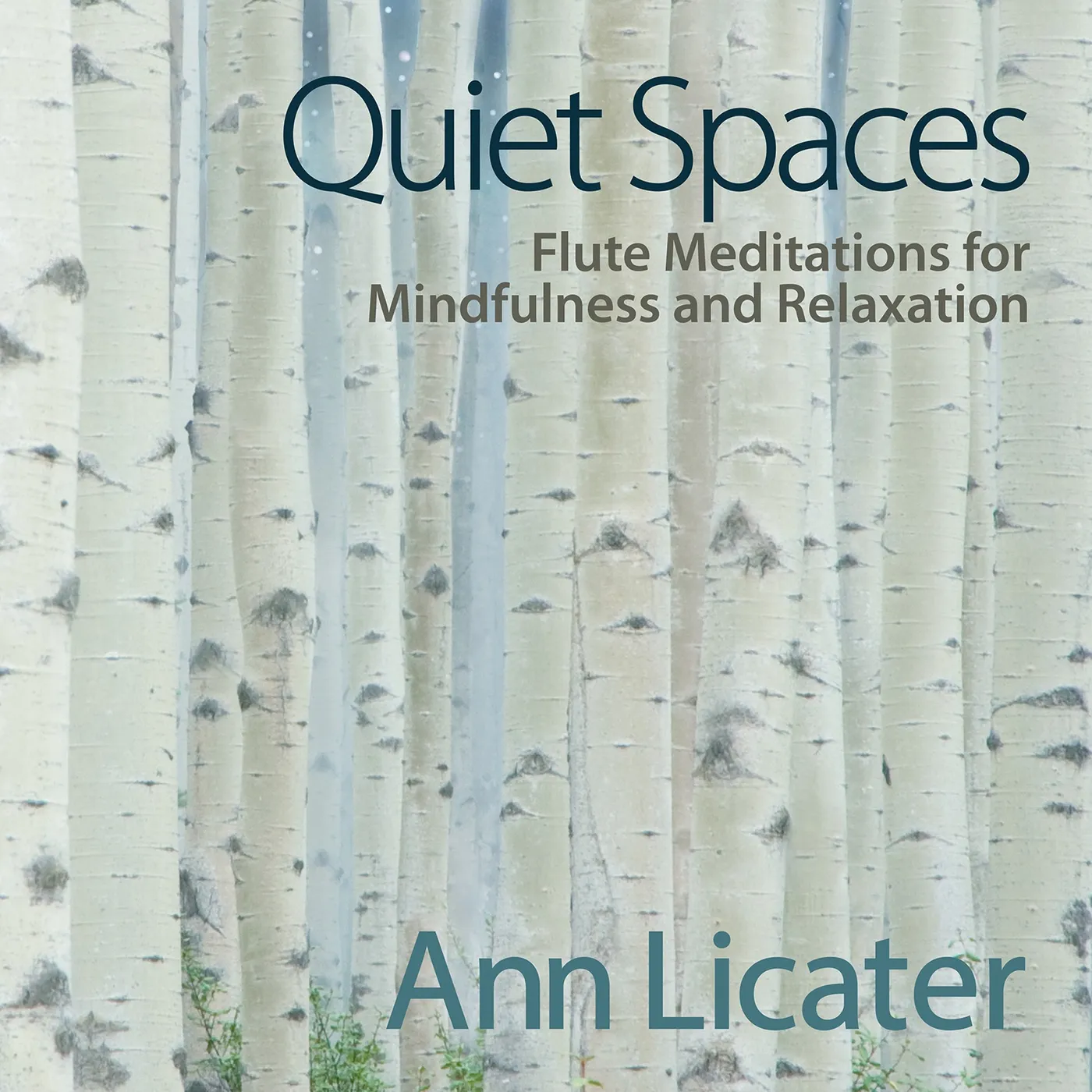 Ann Licater QUIET SPACES: FLUTE MEDITATIONS FOR MINDFULNESS CD