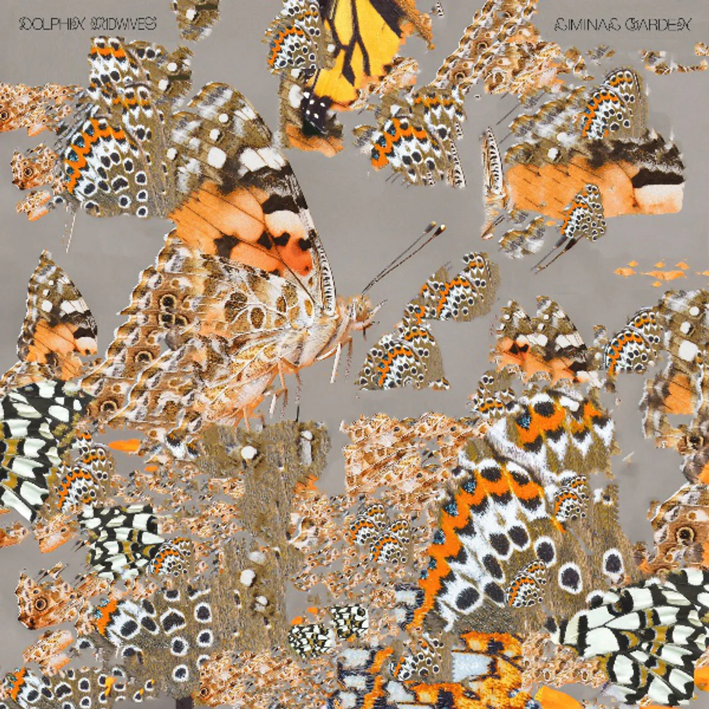 Dolphin Midwives Liminal Garden Vinyl Record