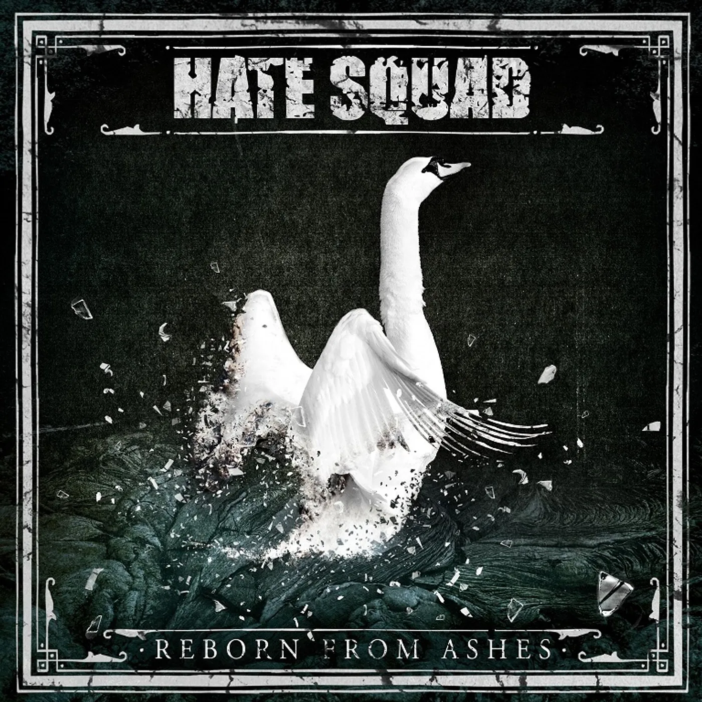 Hate Squad REBORN FROM ASHES CD