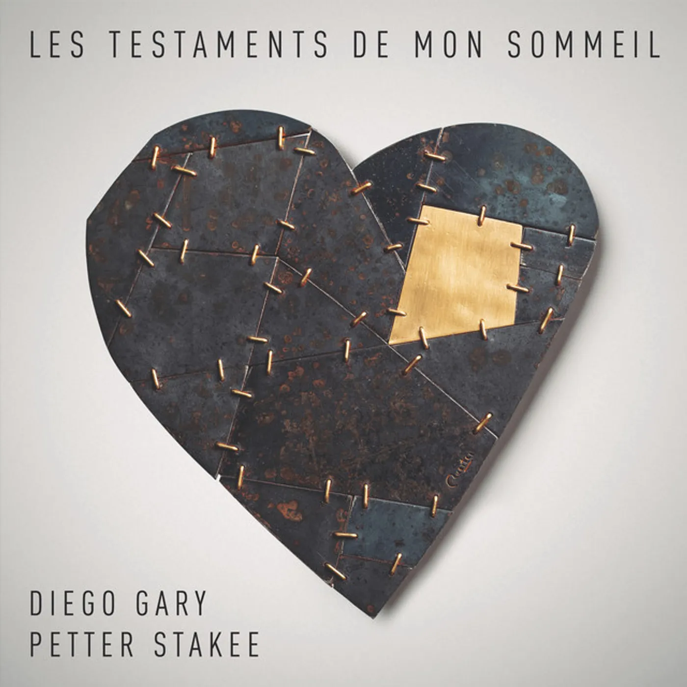 DIEGO GARY & PETTER STAKEE Les Testaments De Mon Sommeil Vinyl Record