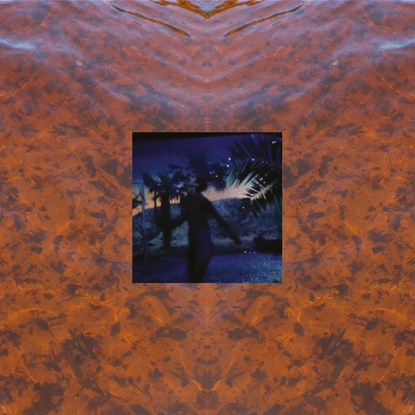 Constantijn Lange Elysian Fields Vinyl Record