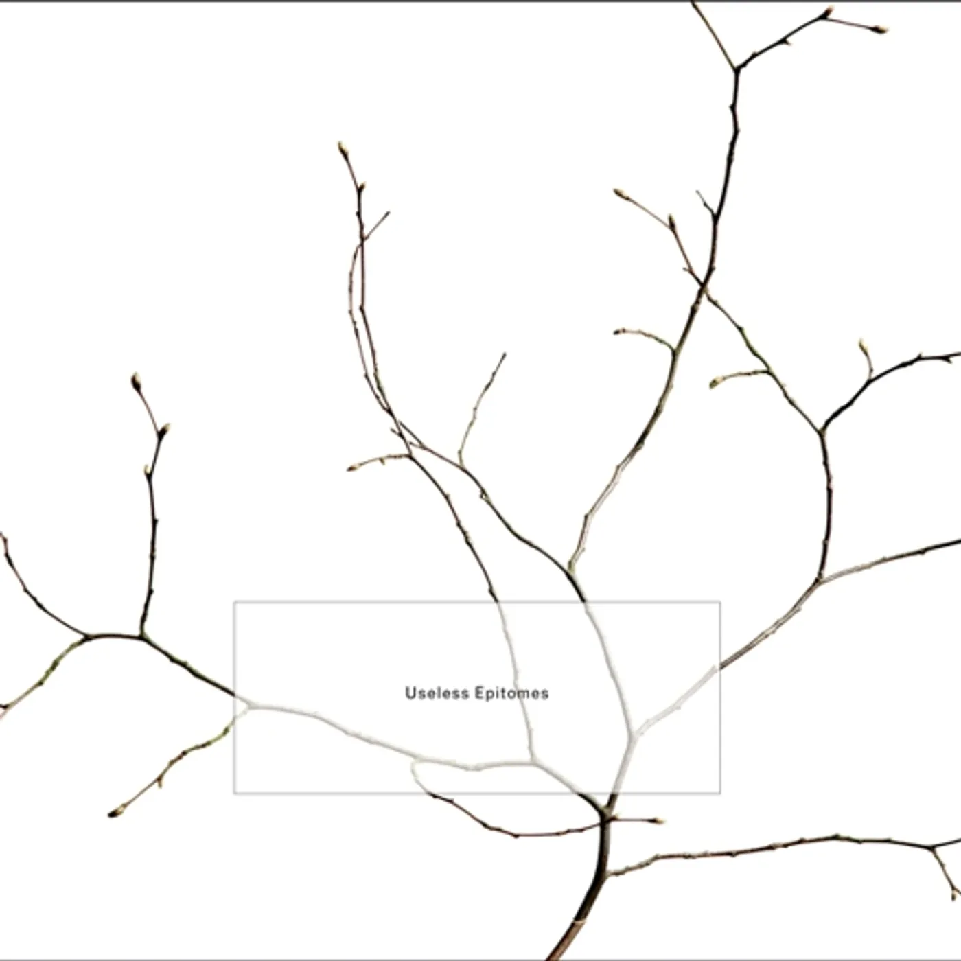 K. Leimer USELESS EPITOMES CD