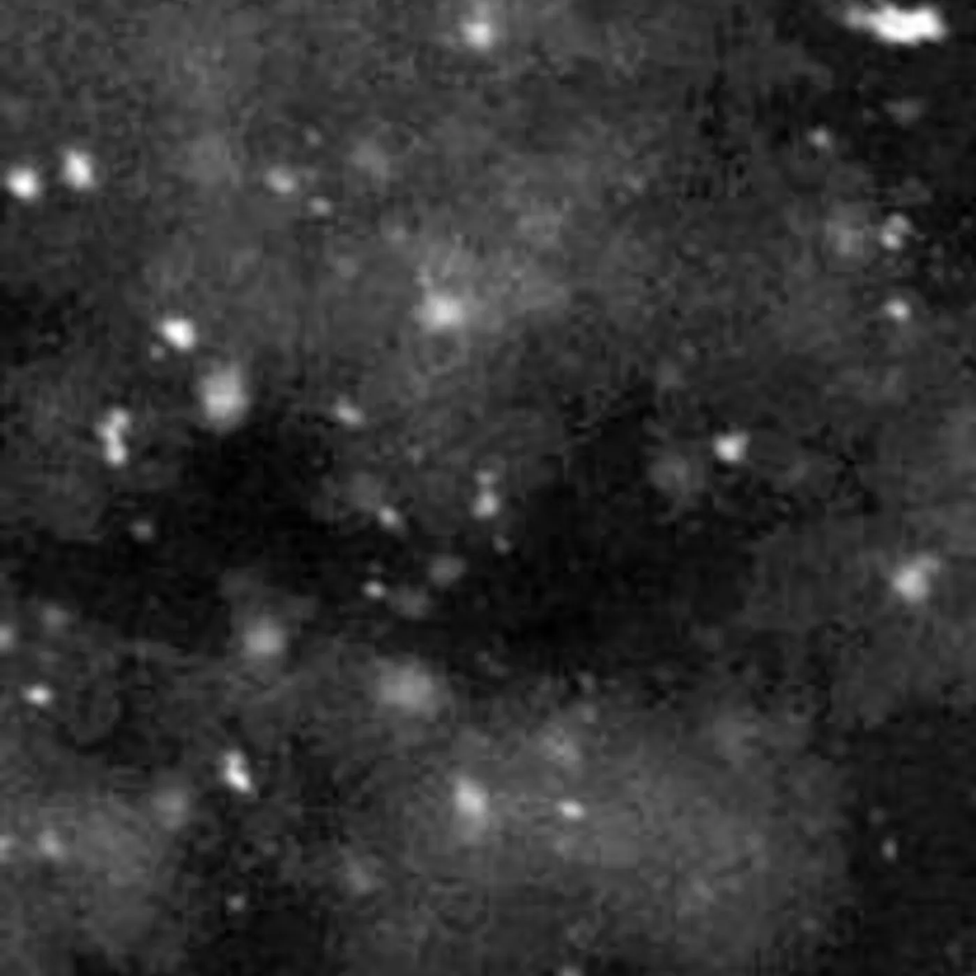 Paysage D'Hiver EINSAMKEIT CD