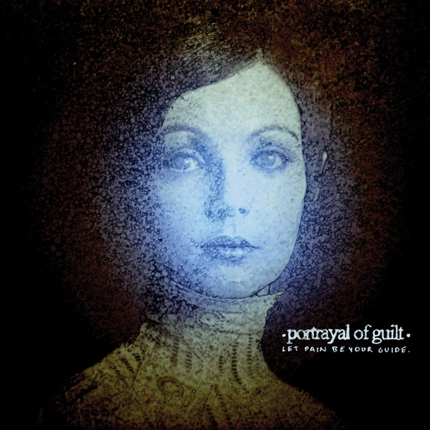 Portrayal of Guilt Let Pain Be Your Guide Vinyl Record