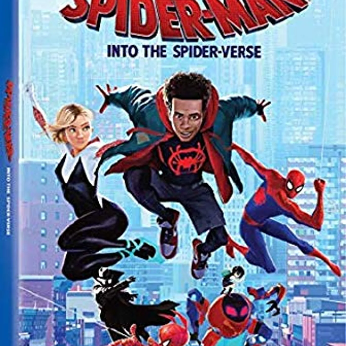 SPIDER-MAN: INTO THE SPIDER-VERSE DVD