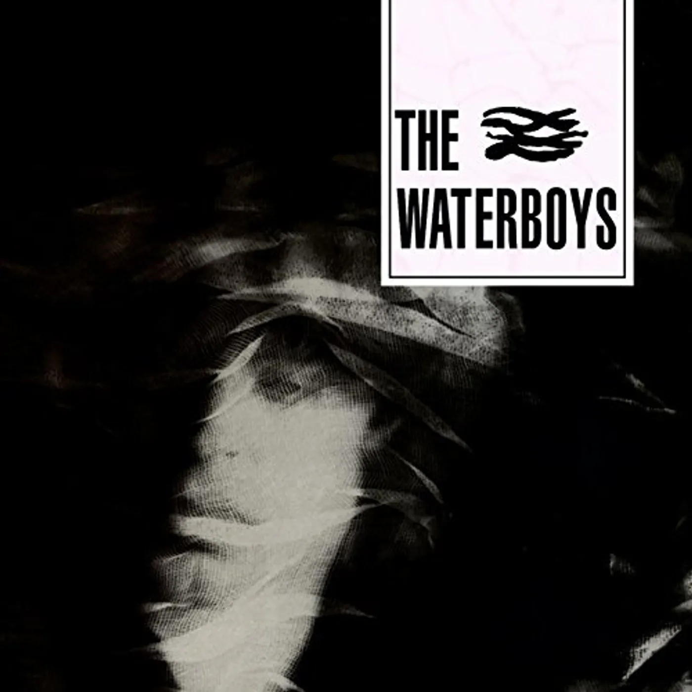The Waterboys CD