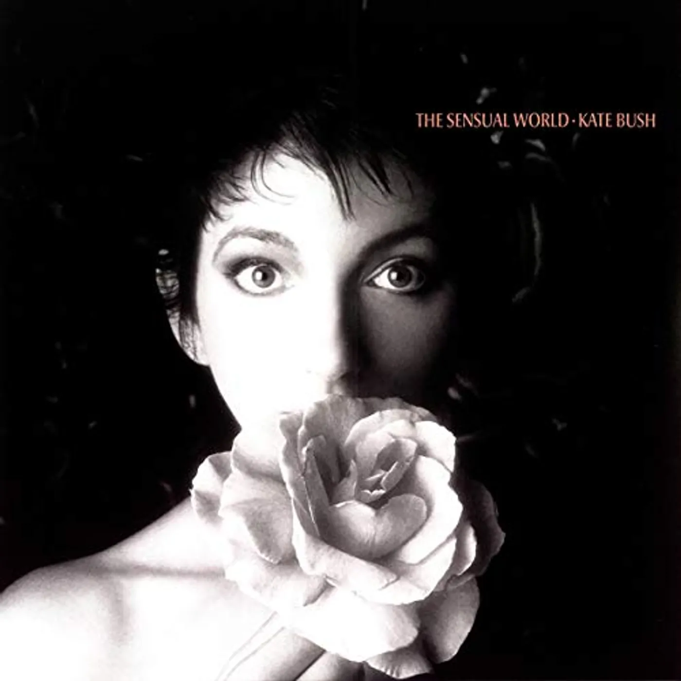 Kate Bush SENSUAL WORLD Vinyl Record