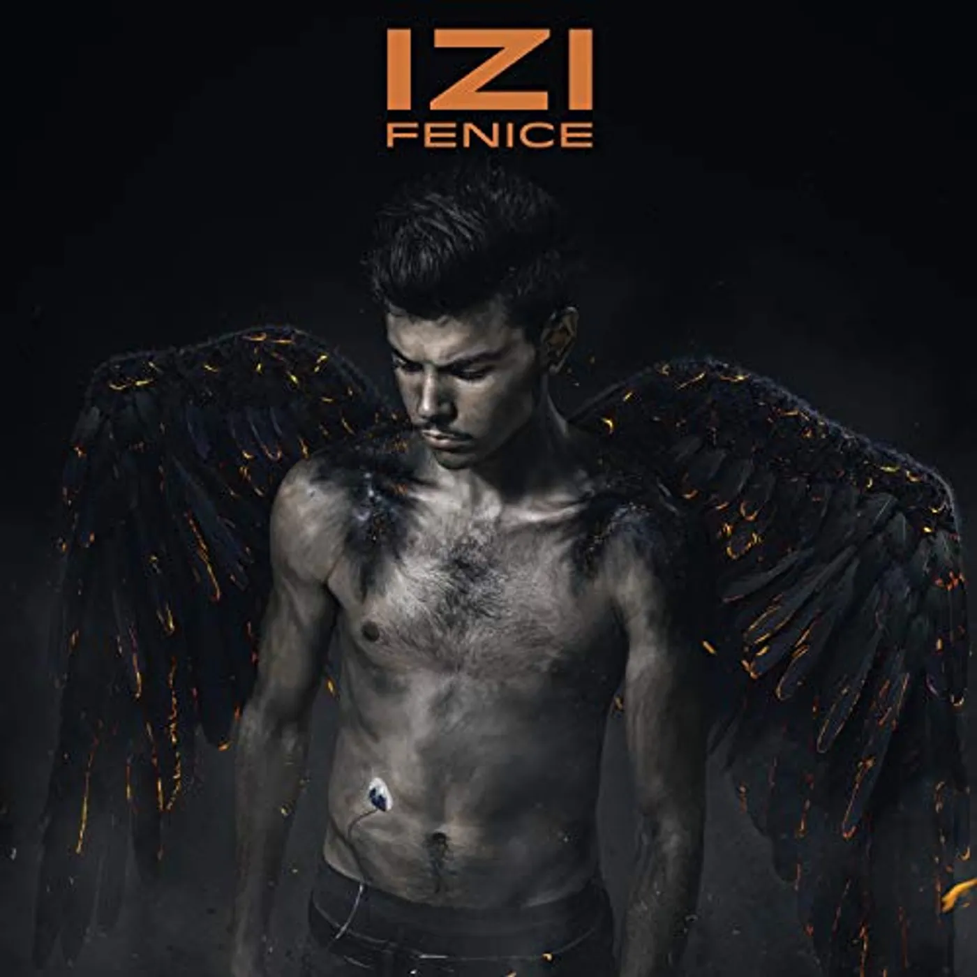 Izi Fenice Vinyl Record