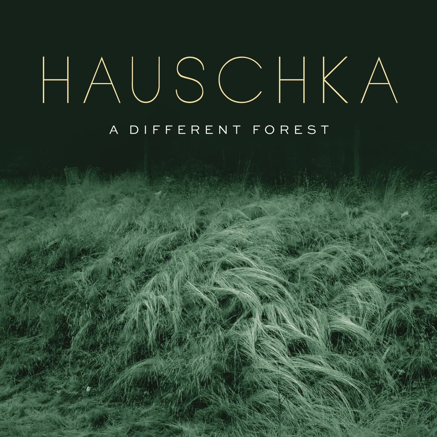 Hauschka DIFFERENT FOREST Vinyl Record