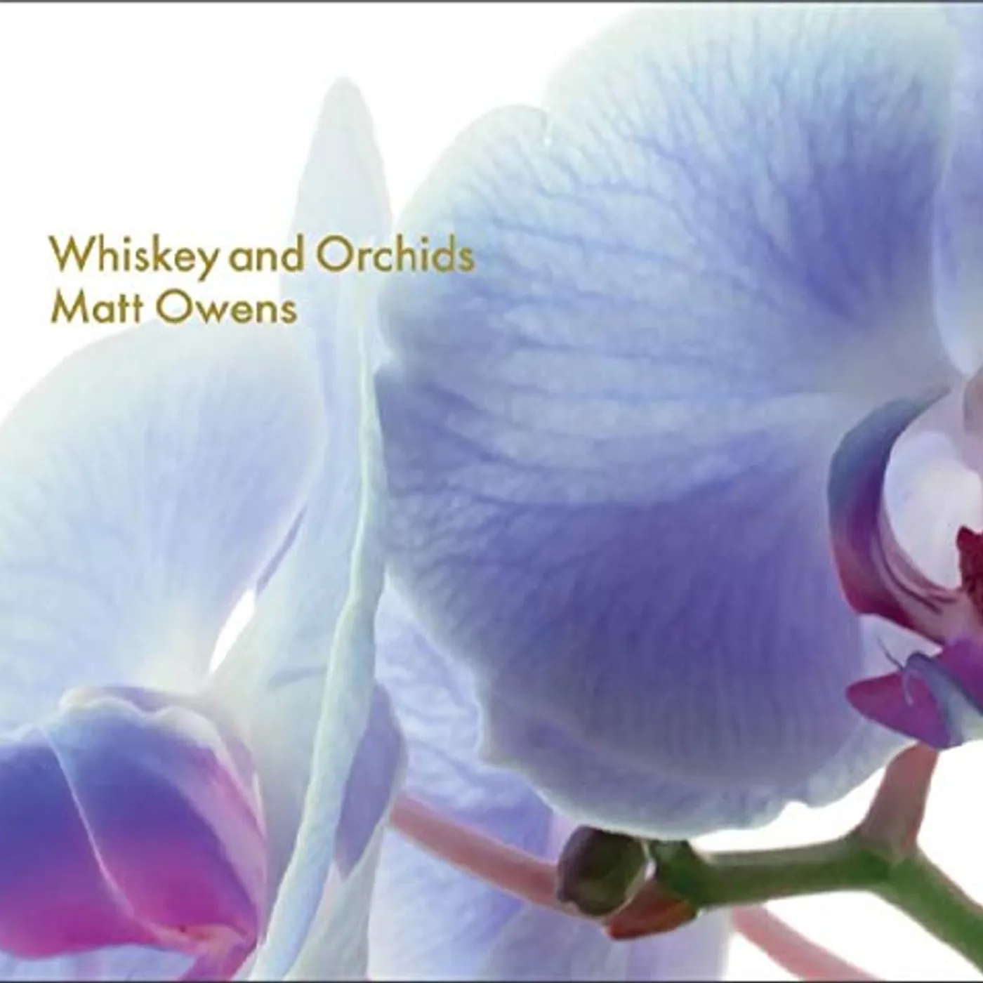 Matt Owens WHISKEY & ORCHIDS CD