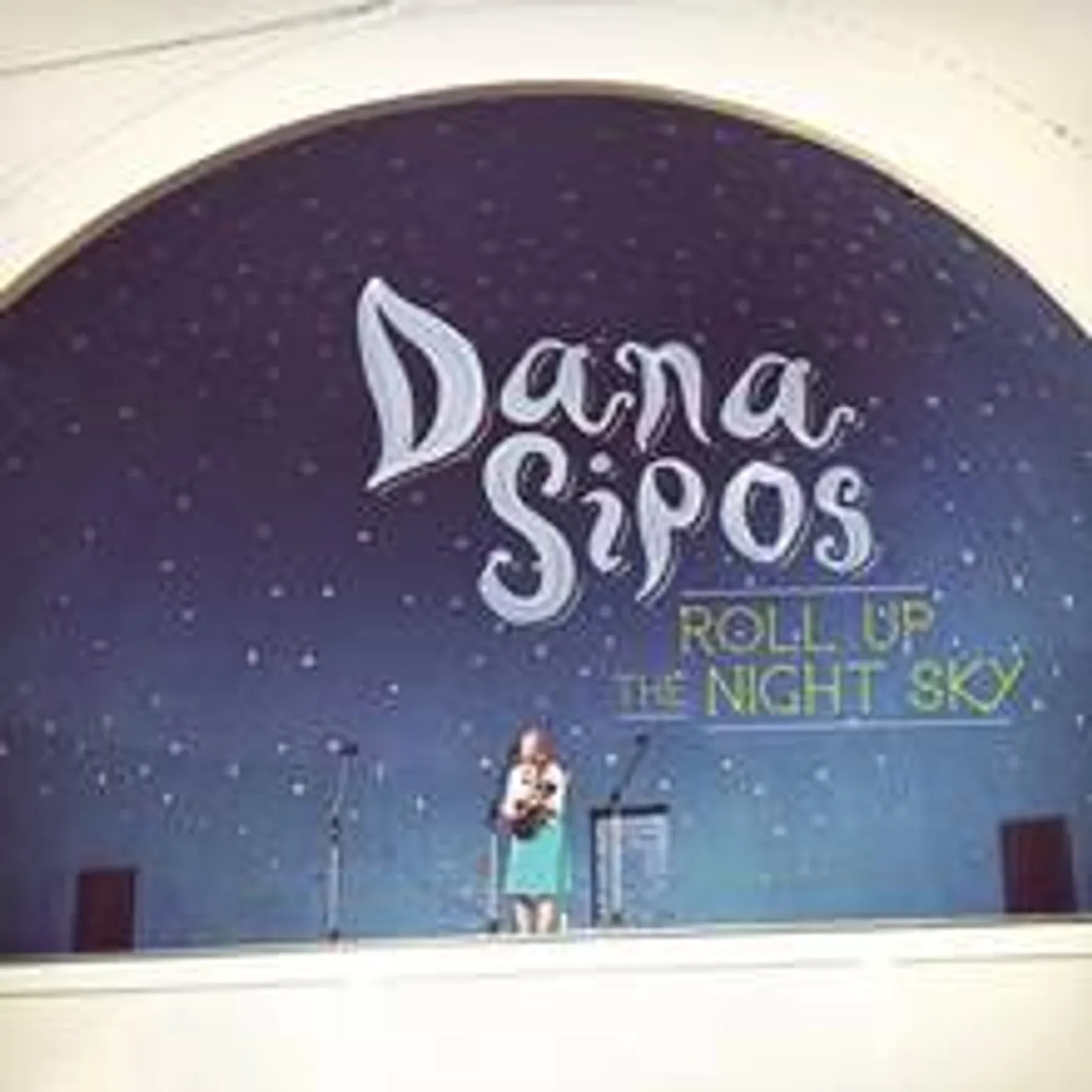 Dana Sipos Roll up the Night Sky Vinyl Record