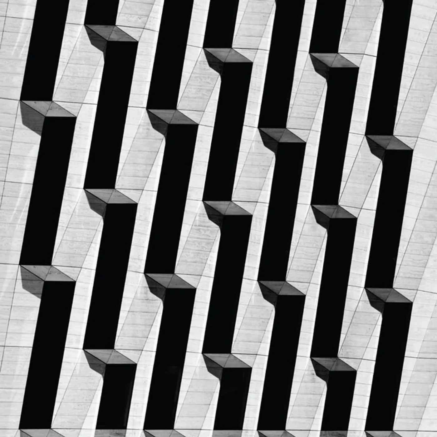 Snow Palms Everything Ascending Vinyl Record