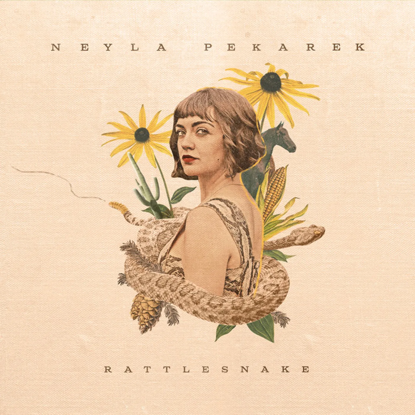 Neyla Pekarek Rattlesnake Vinyl Record