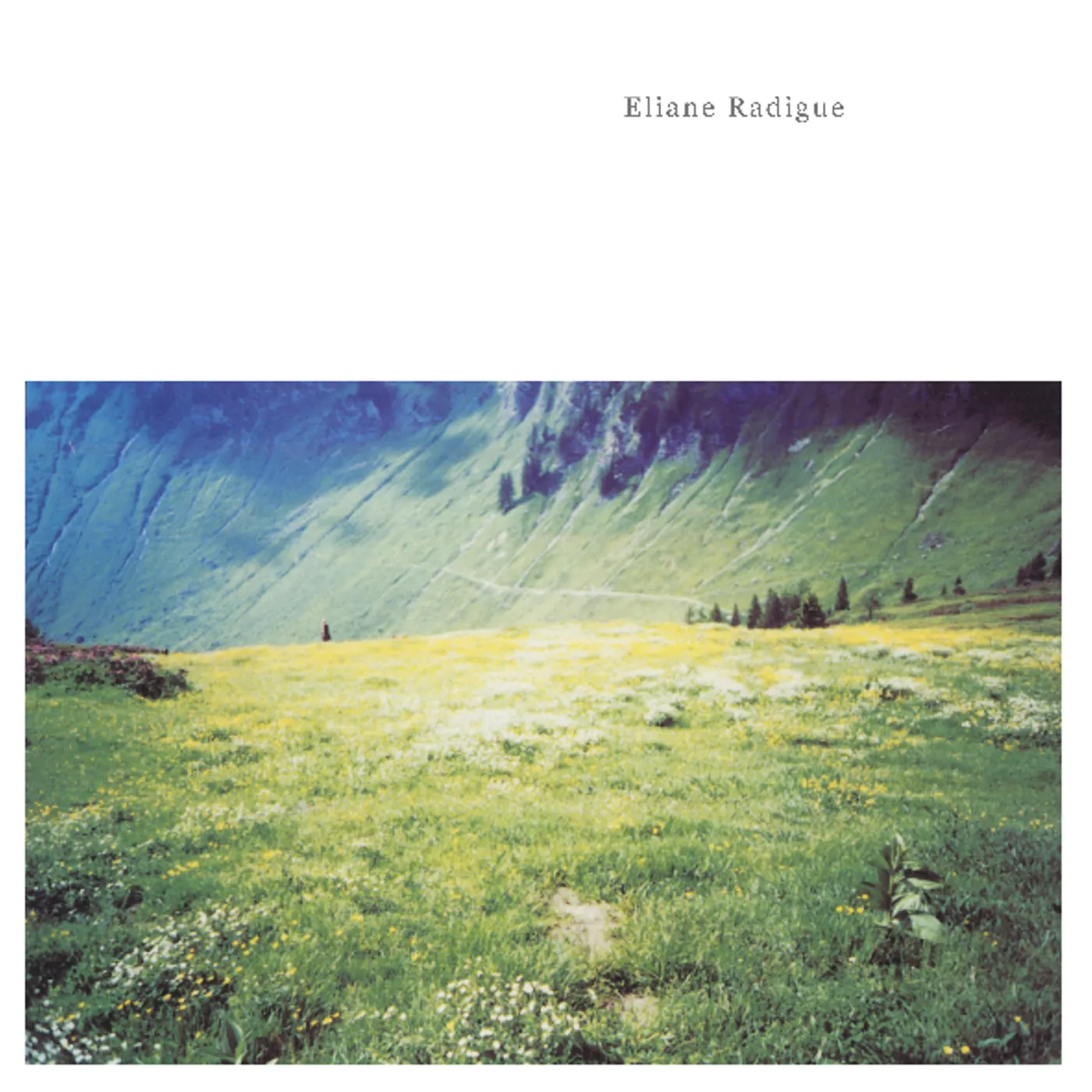 Éliane Radigue GEELRIANDRE / ARTHESIS Vinyl Record