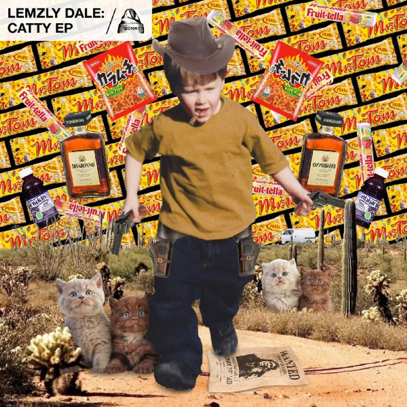 Lemzly Dale Catty Vinyl Record