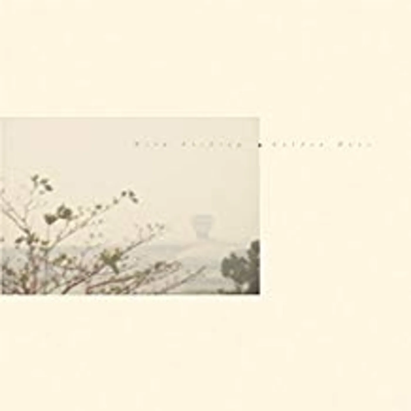Wild Nothing GOLDEN HAZE (CT10 EDITION) Vinyl Record