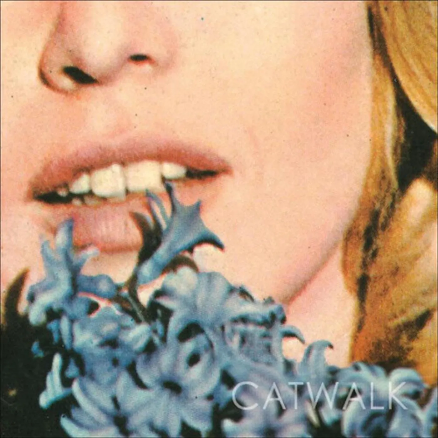 Catwalk (Please) Don't Break Me Vinyl Record