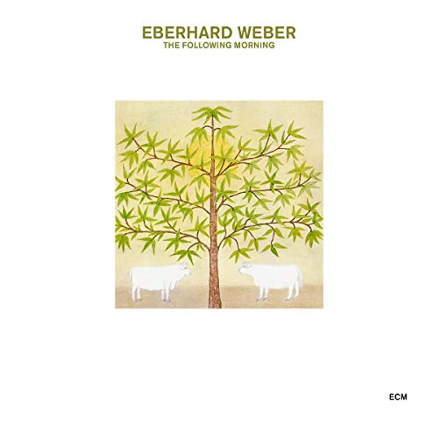 Eberhard Weber The Following Morning CD