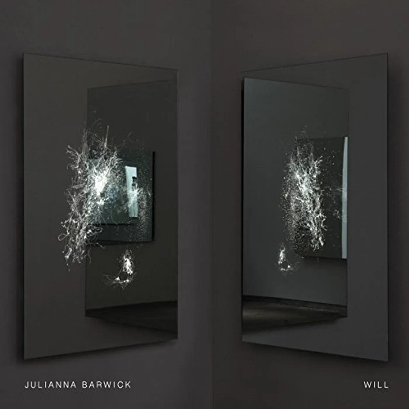 Julianna Barwick Will Vinyl Record