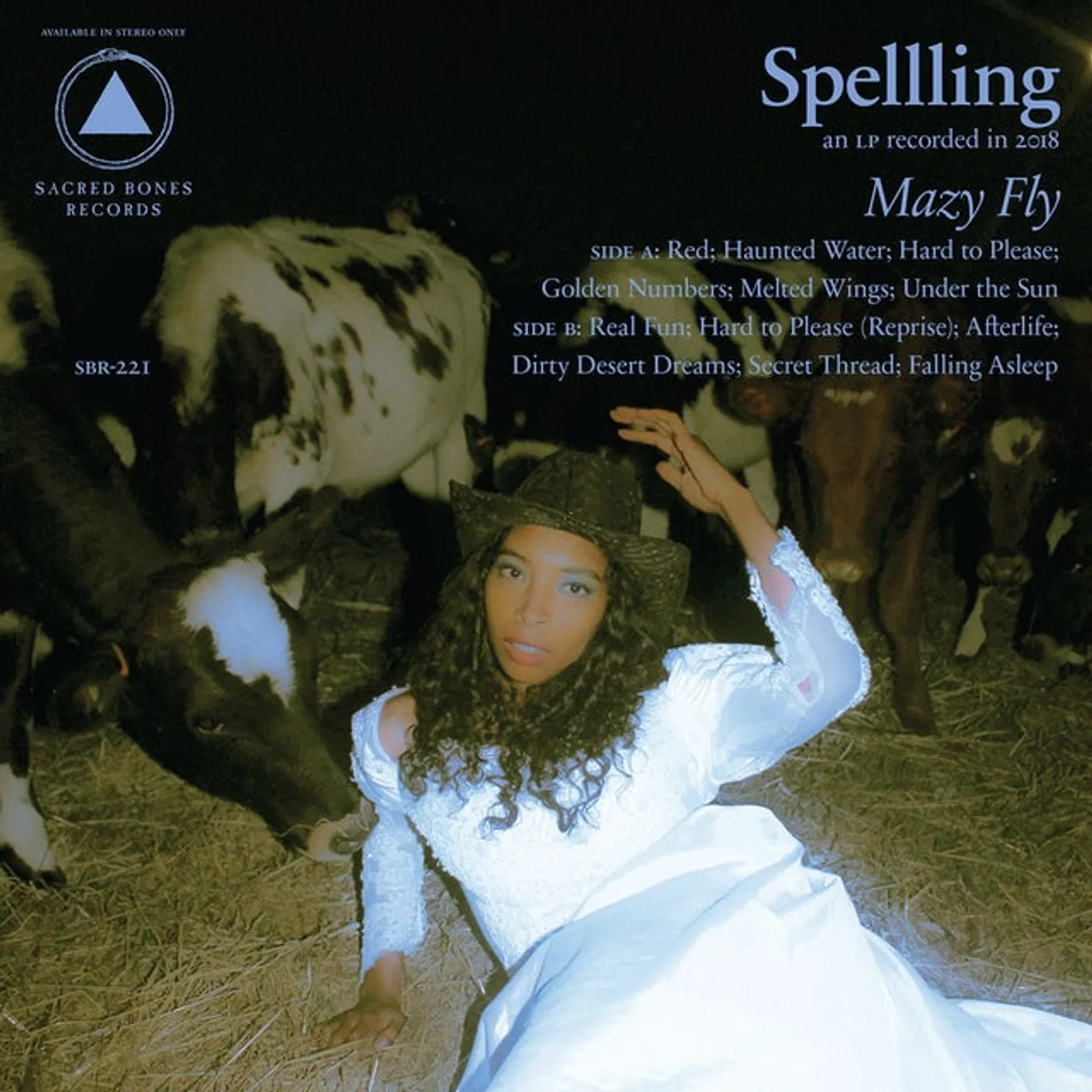 SPELLLING MAZY FLY Vinyl Record