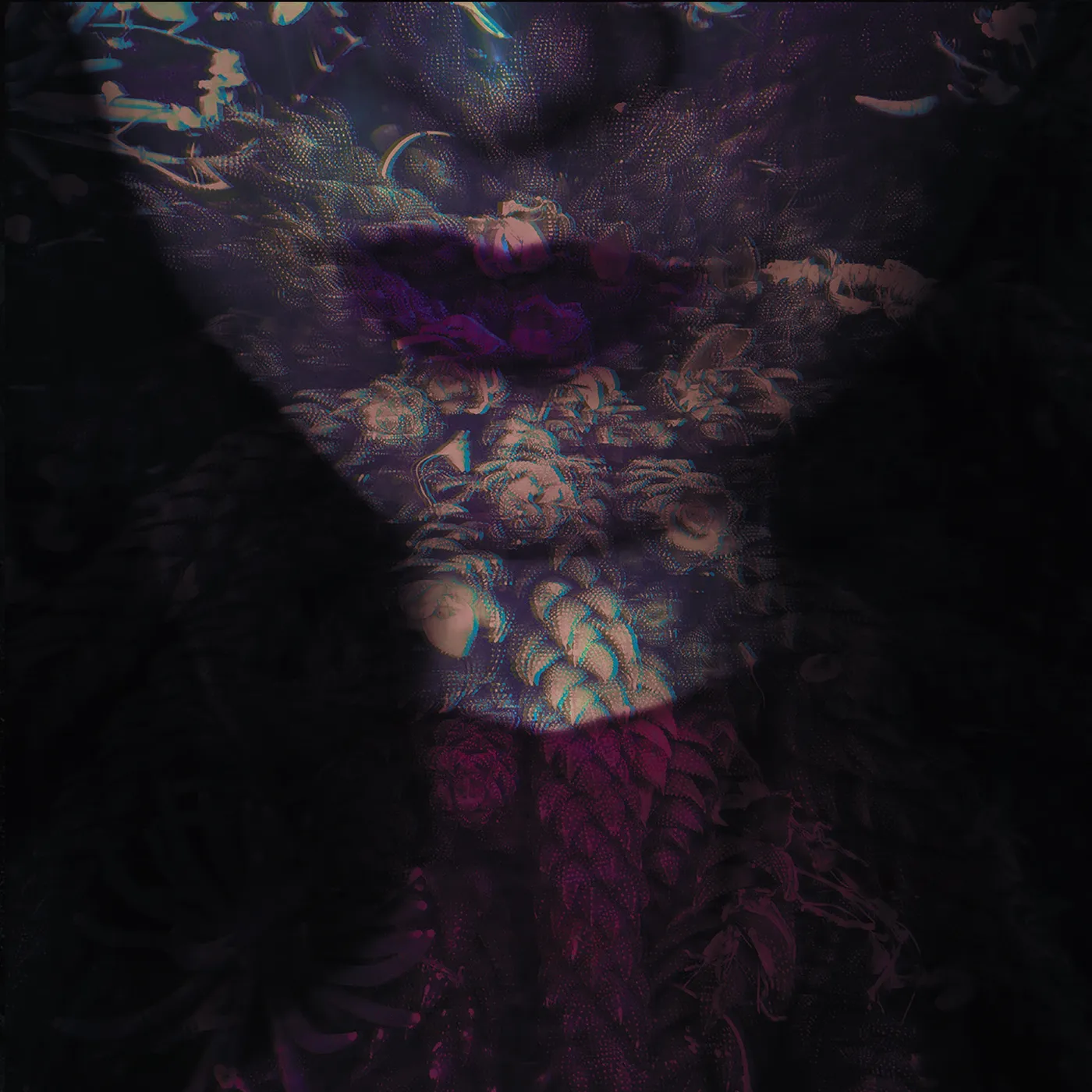 Hante. Fierce Vinyl Record