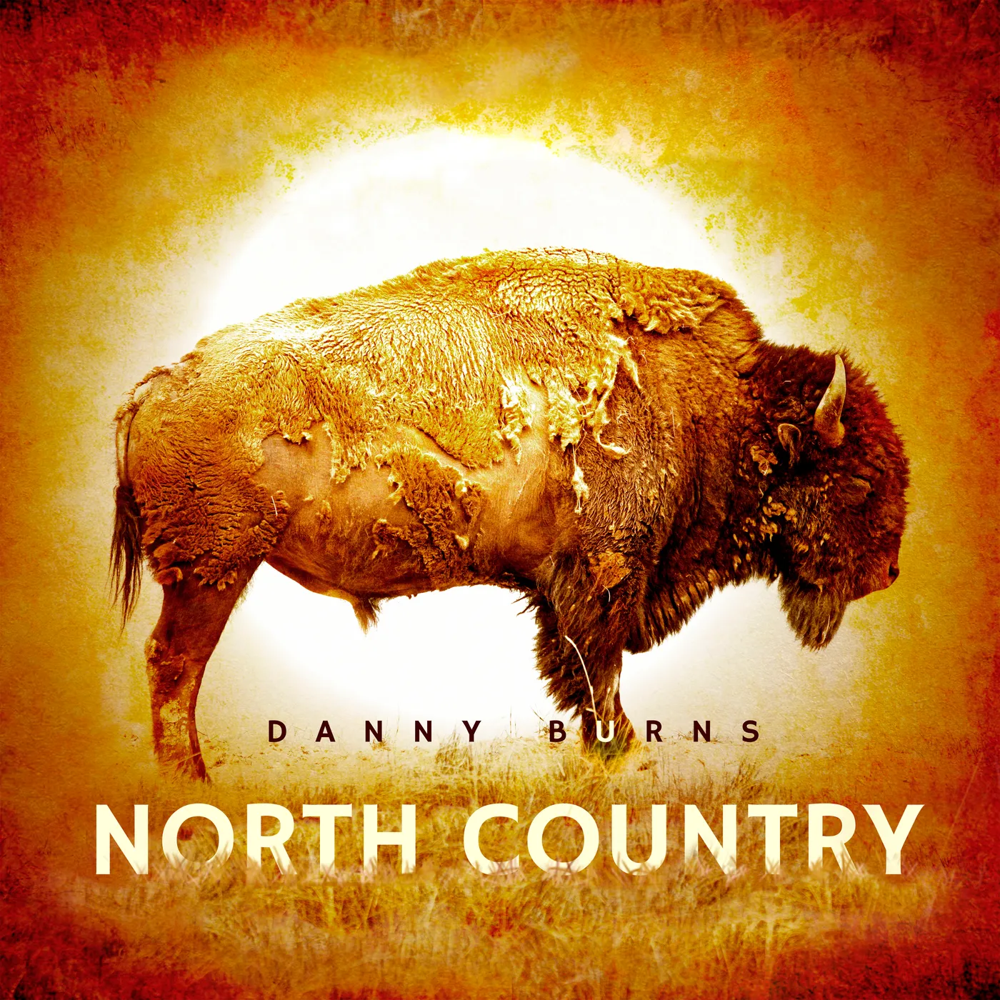 Danny Burns NORTH COUNTRY CD