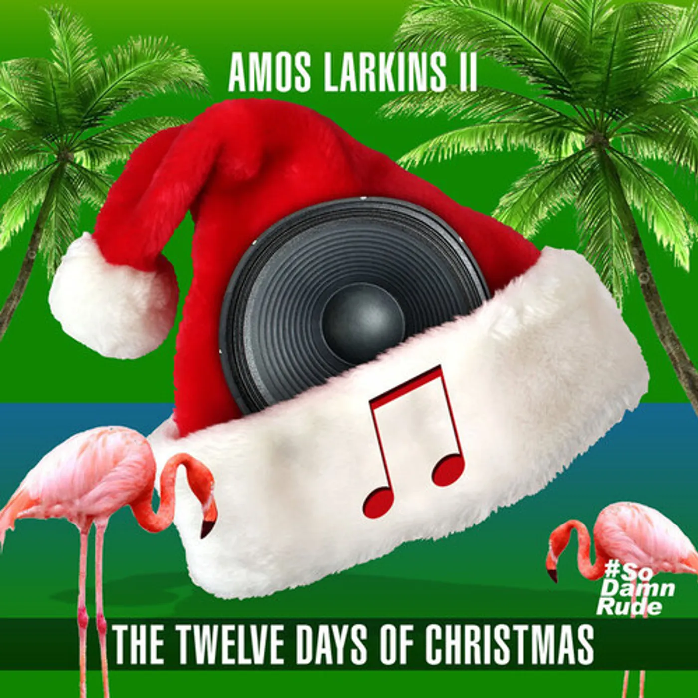 Amos Larkins II TWELVE DAYS OF CHRISTMAS CD