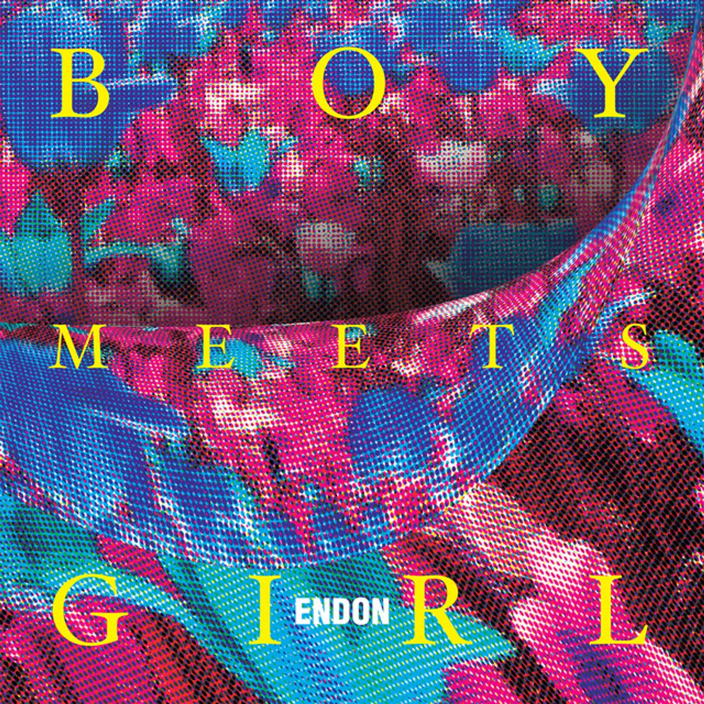 ENDON Boy Meets Girl Vinyl Record