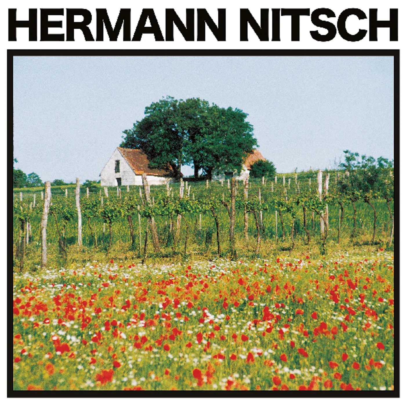 Hermann Nitsch TRAUBENFLEISCH Vinyl Record