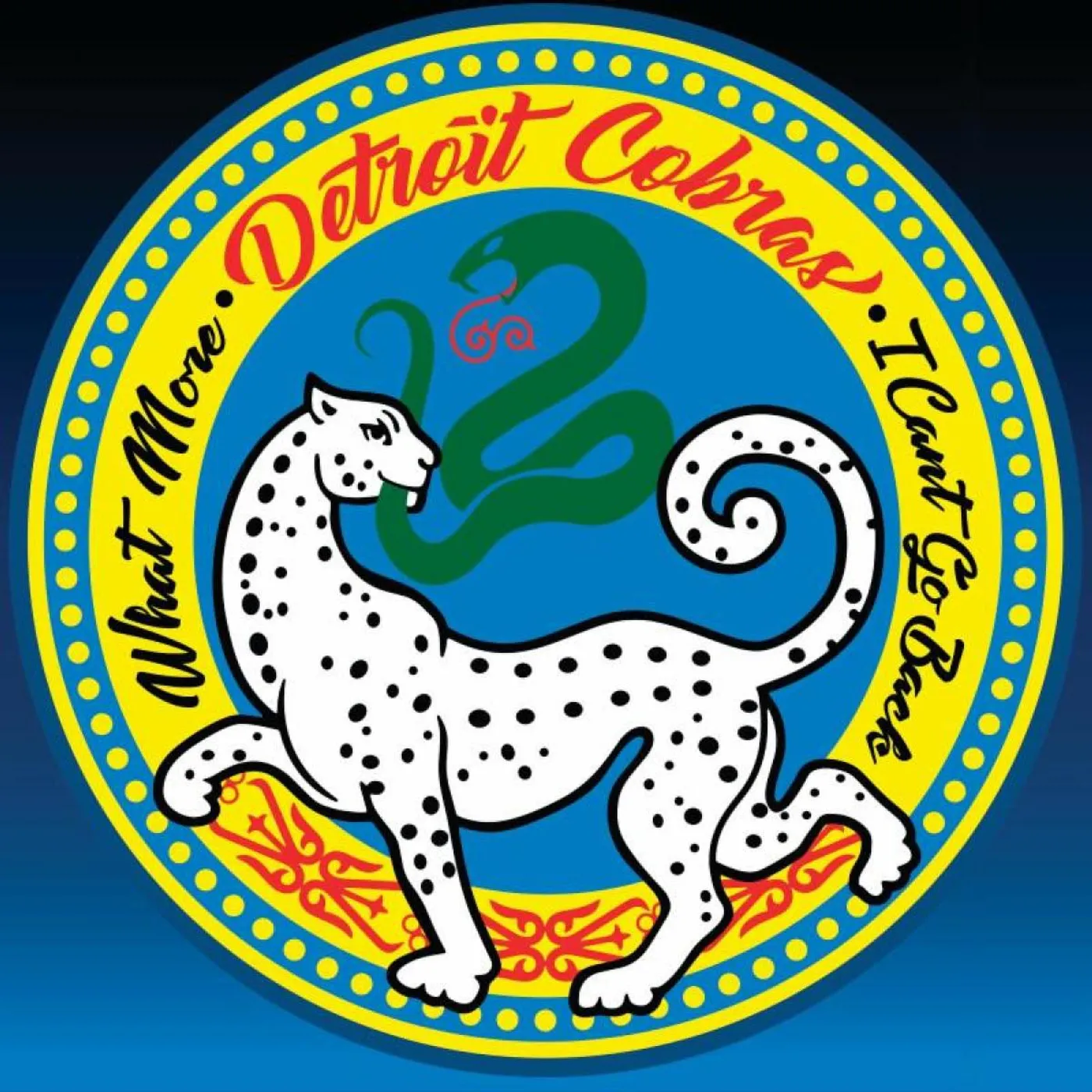 The Detroit Cobras WHAT MORE / I CAN'T GO BACK Vinyl Record