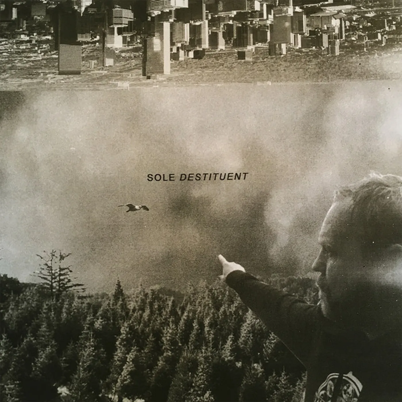 Sole Destituent Vinyl Record