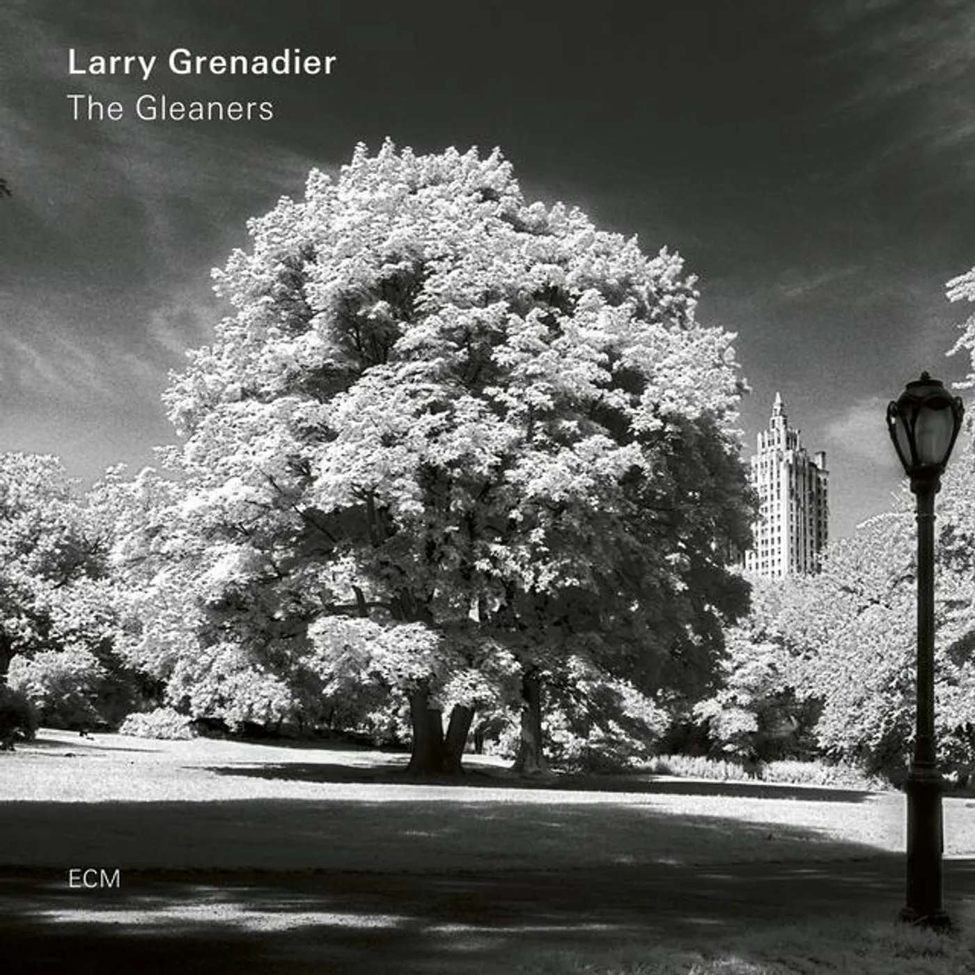 Larry Grenadier GLEANERS Vinyl Record