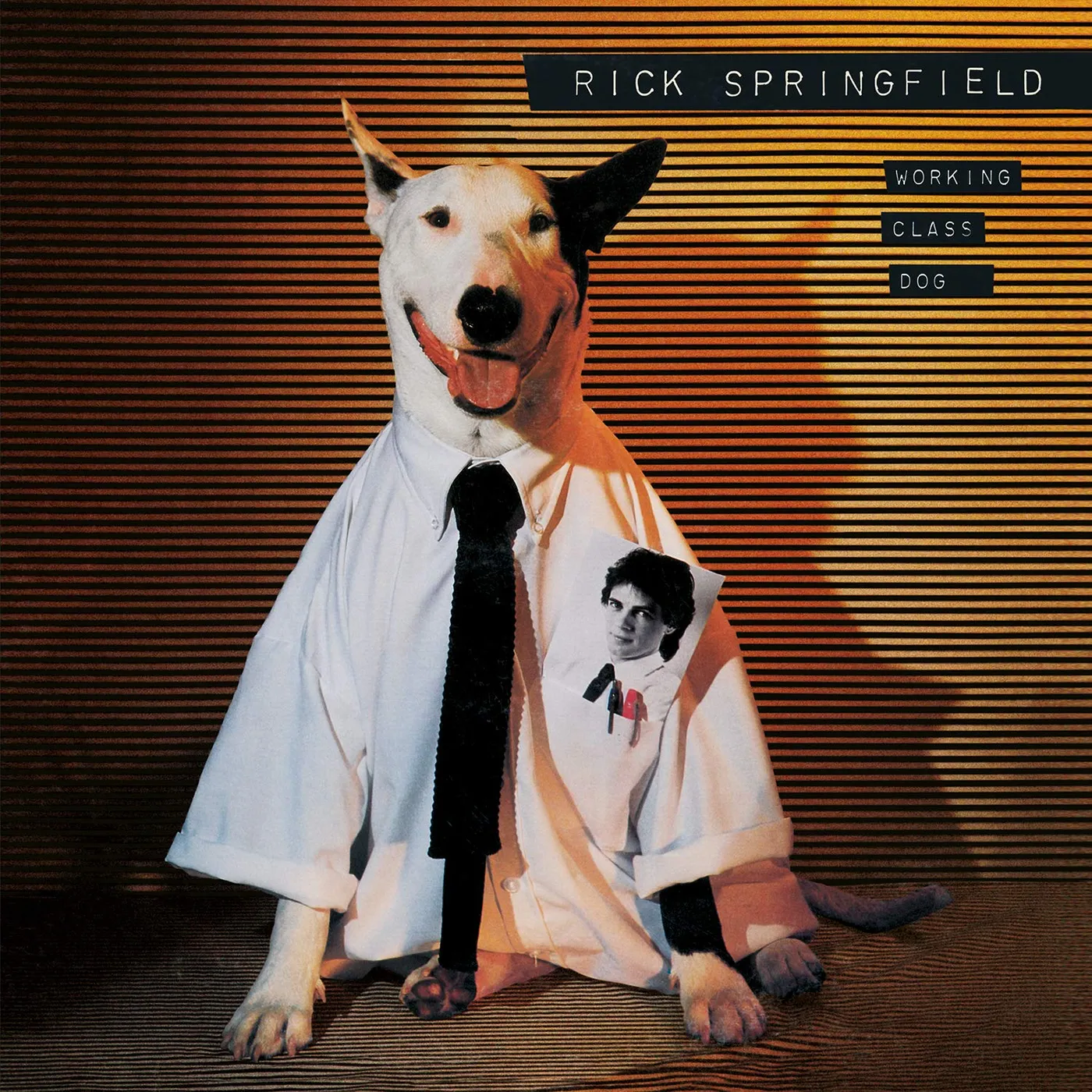Rick Springfield Working Class Dog Vinyl Record