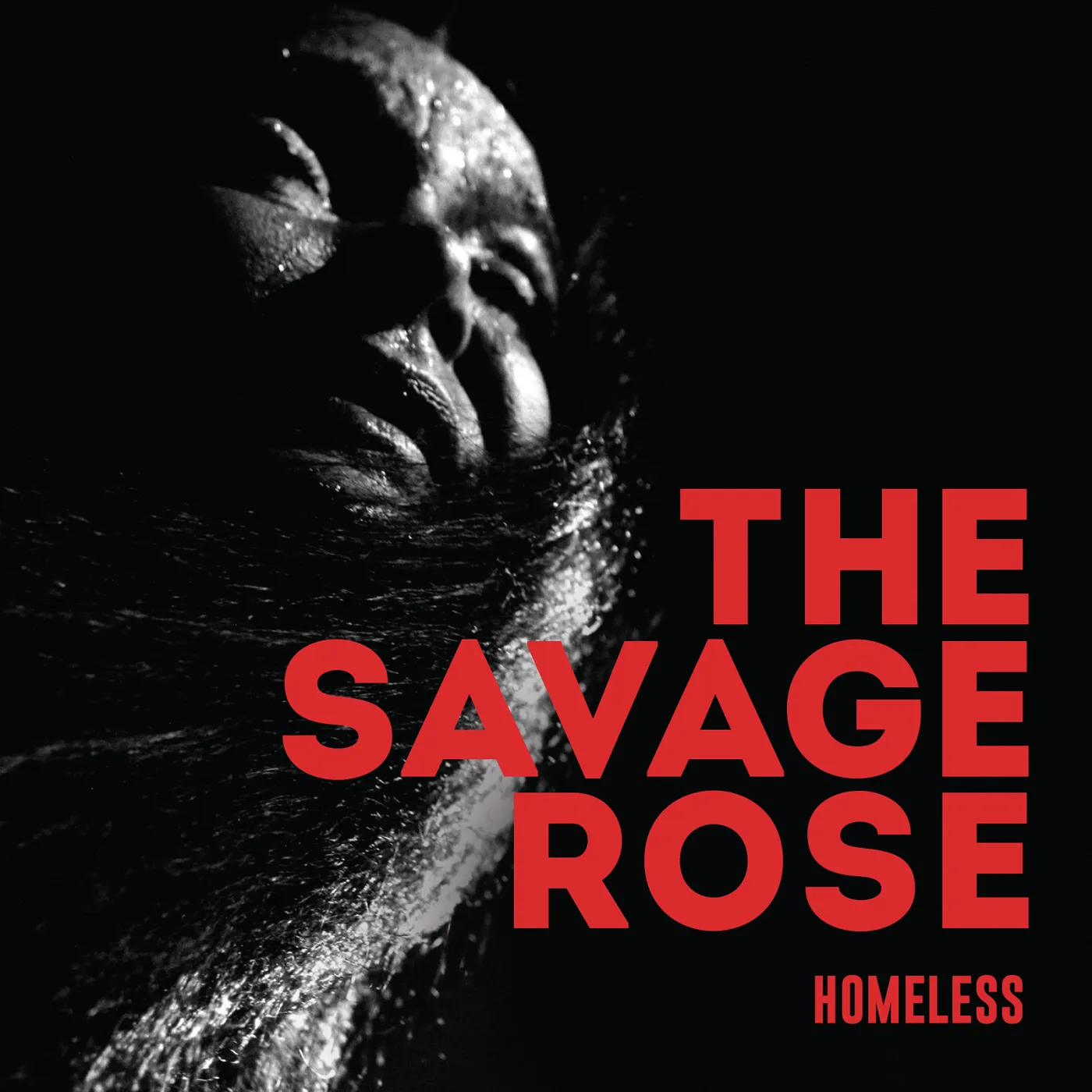 The Savage Rose Homeless Vinyl Record
