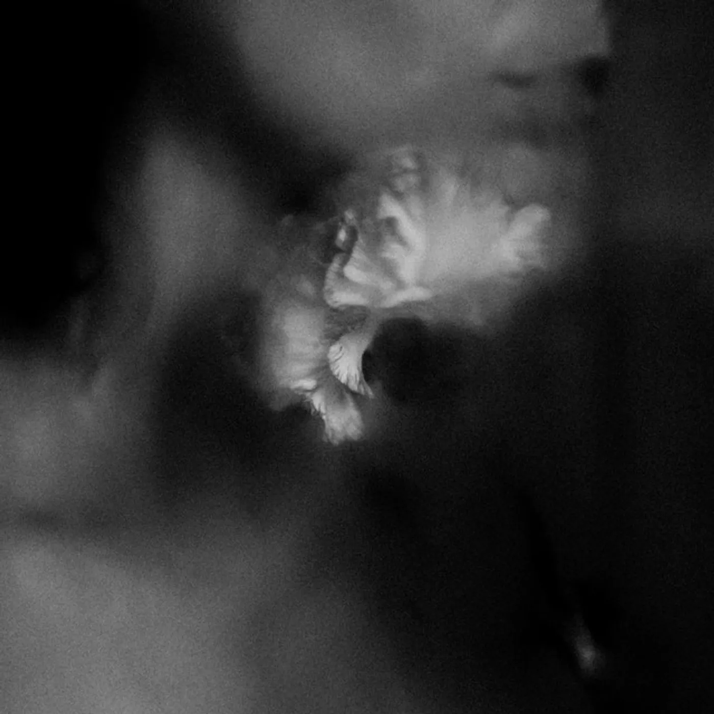 Holding Absence Vinyl Record