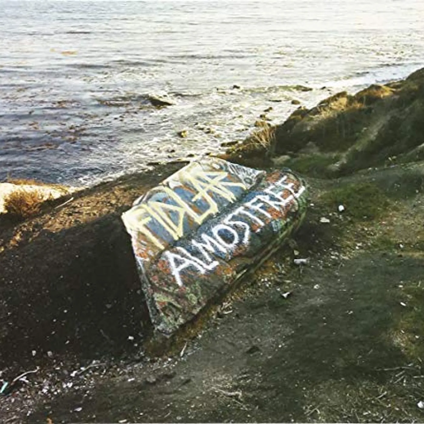 FIDLAR ALMOST FREE CD