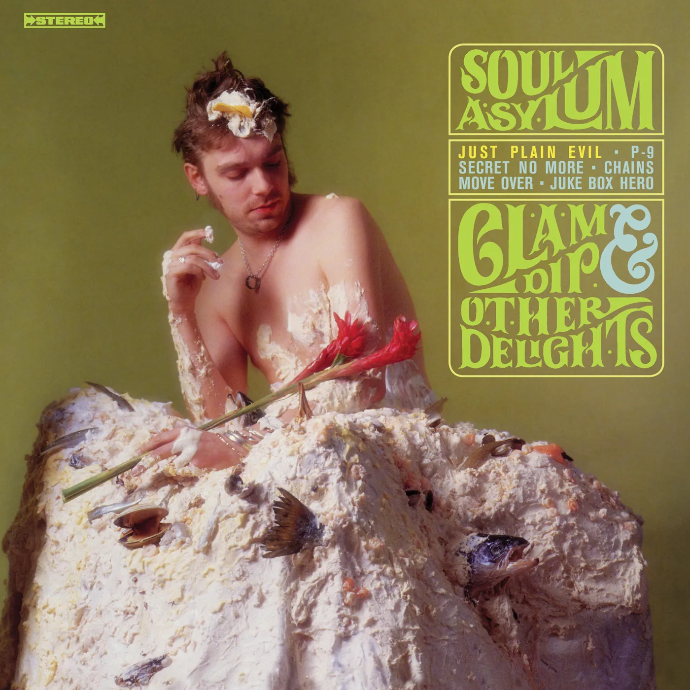 Soul Asylum Clam Dip & Other Delights Vinyl Record