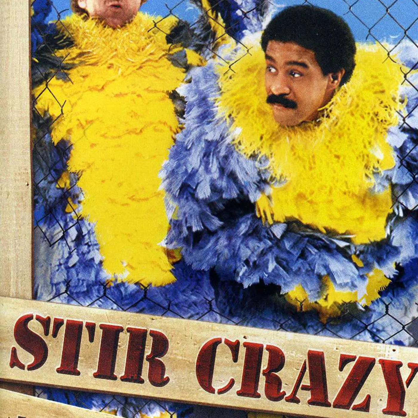 STIR CRAZY DVD
