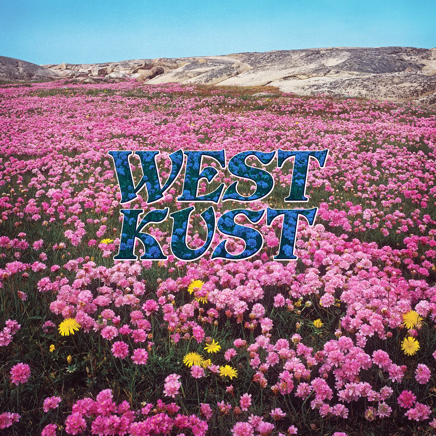 Westkust Vinyl Record