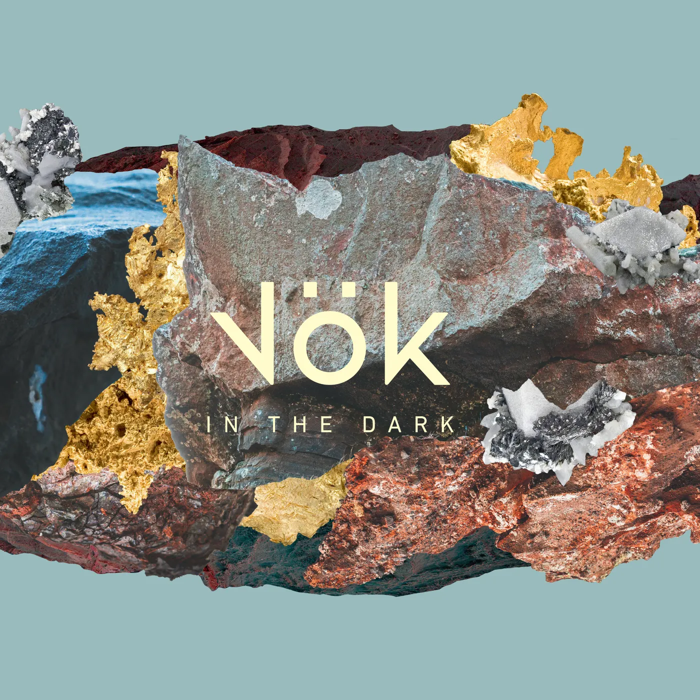 Vok IN THE DARK CD