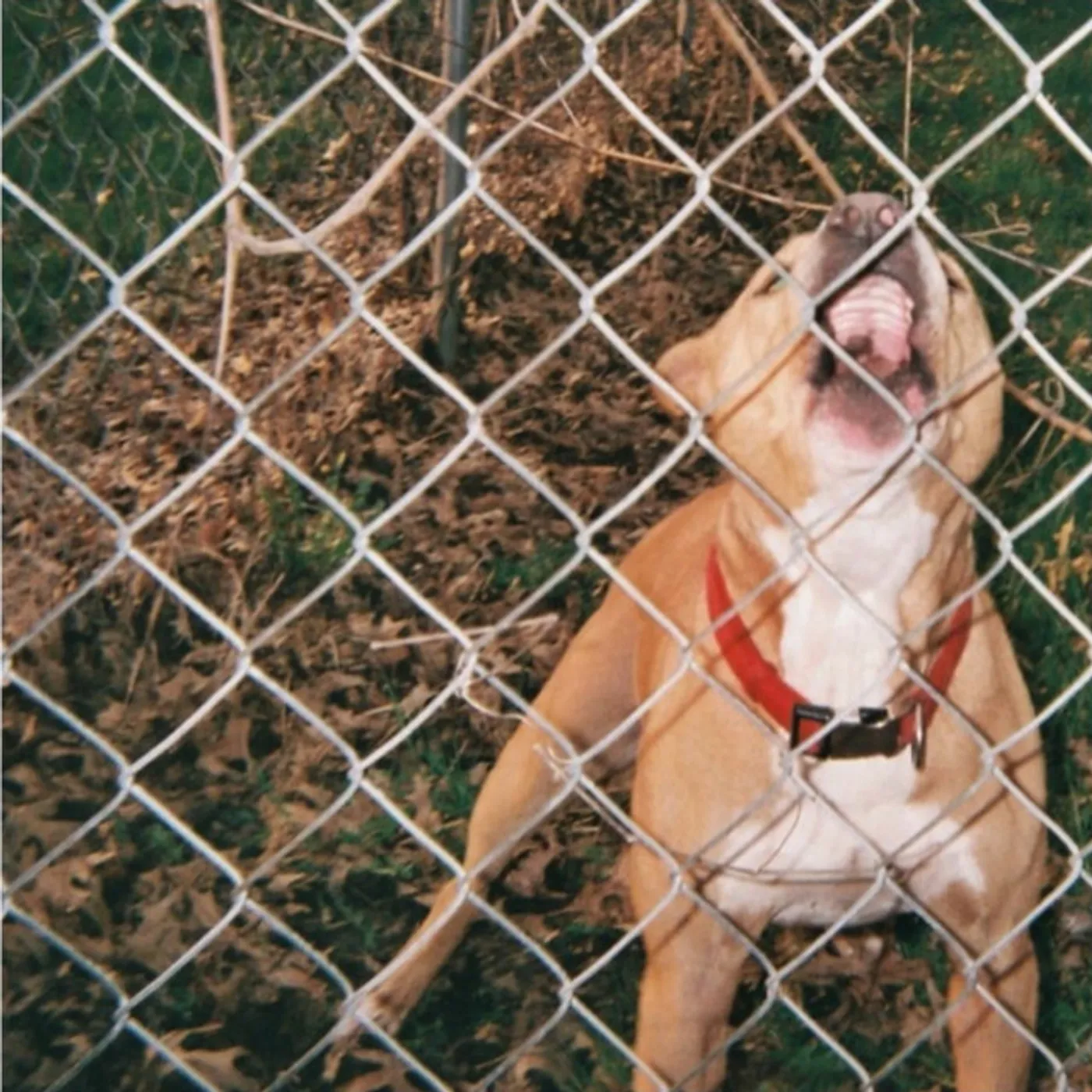 Knocked Loose Pop Culture Vinyl Record
