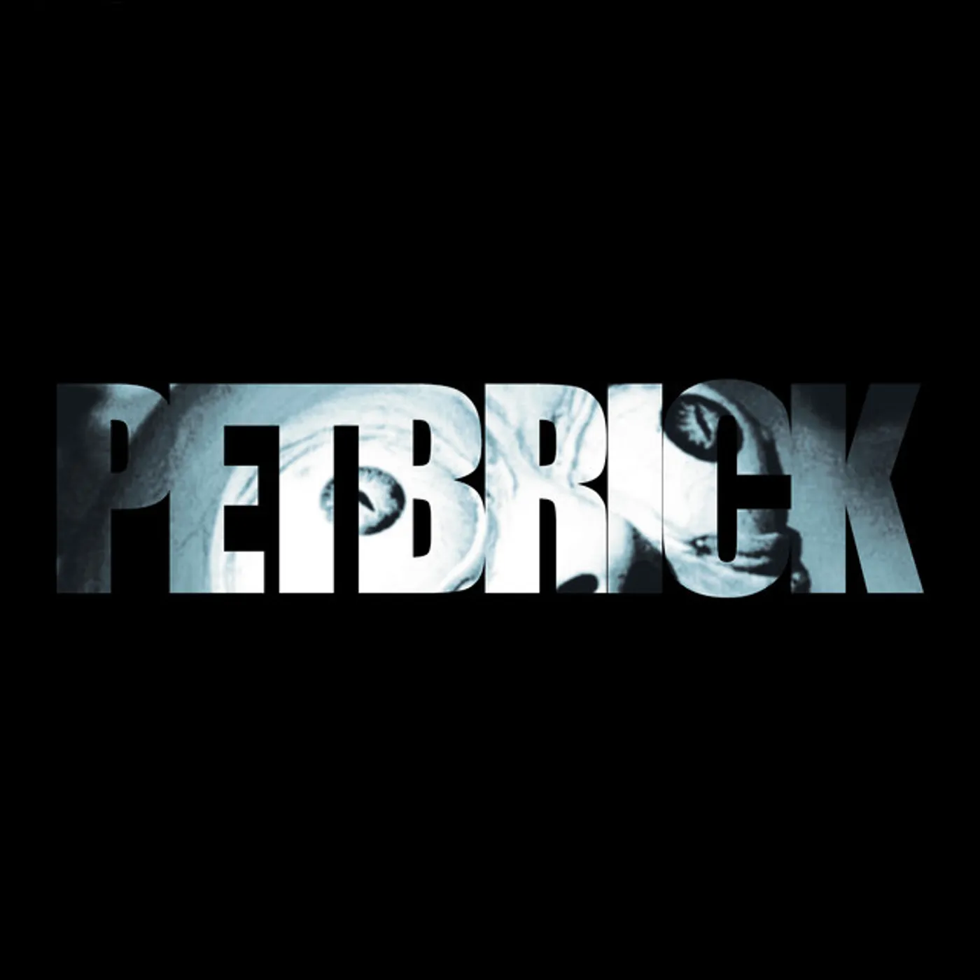 Petbrick Vinyl Record